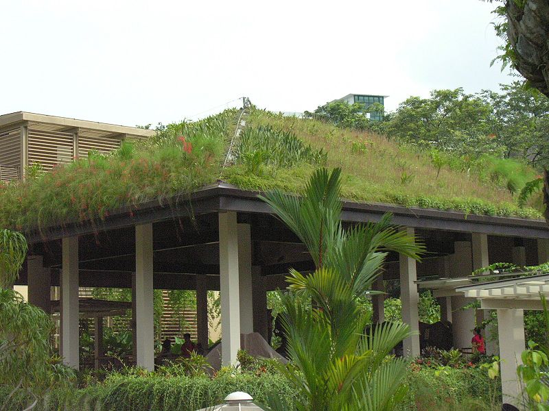 Green Roof Singapore Botanic Gardens