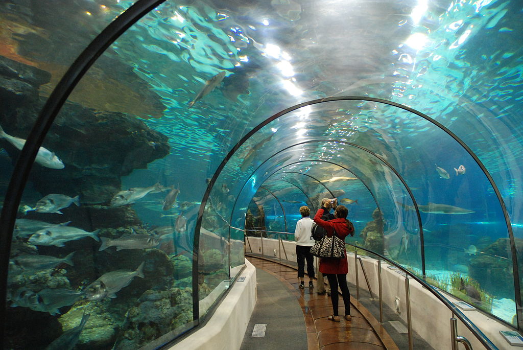Underwater World Singapore